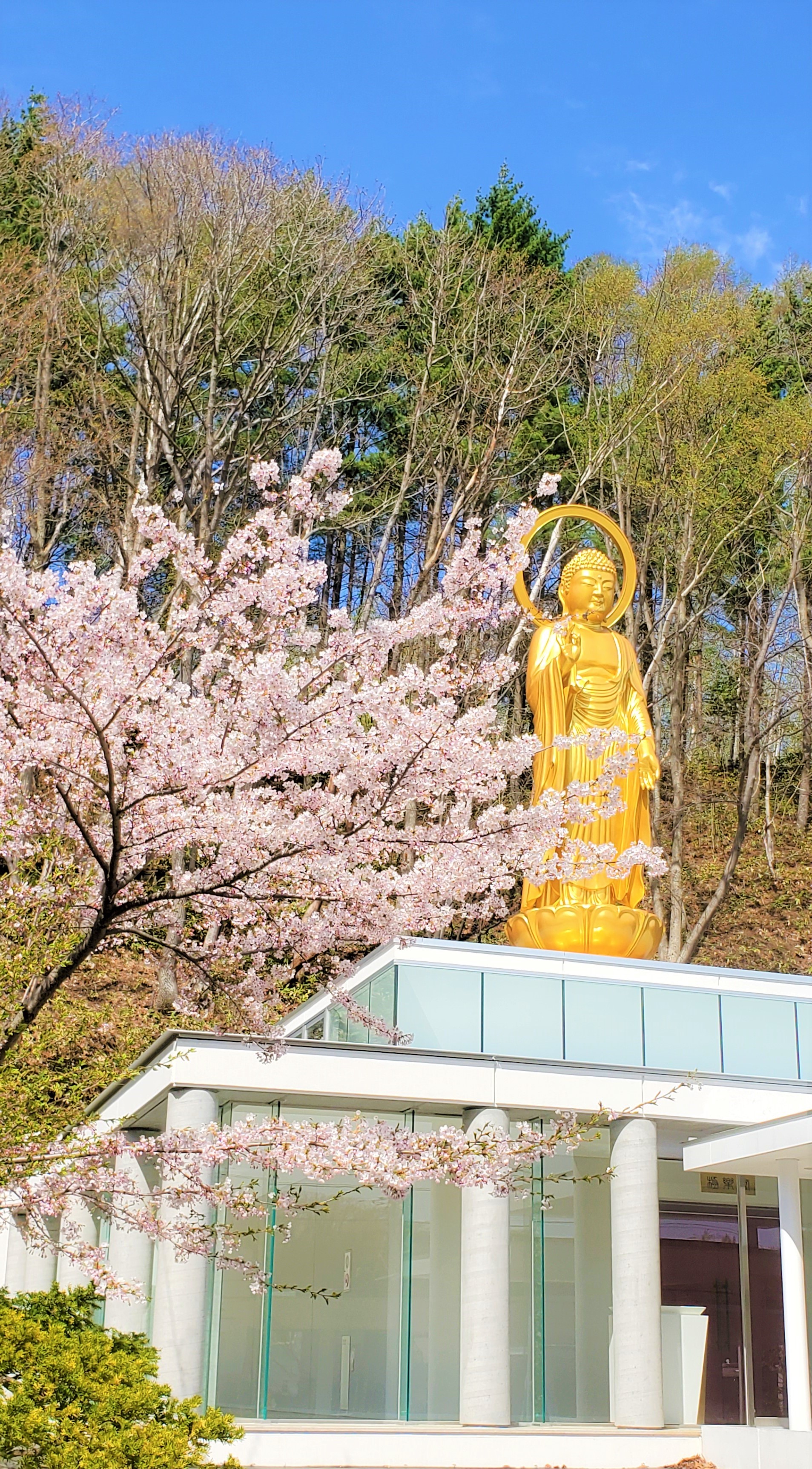 御朱印　3月限定写真
