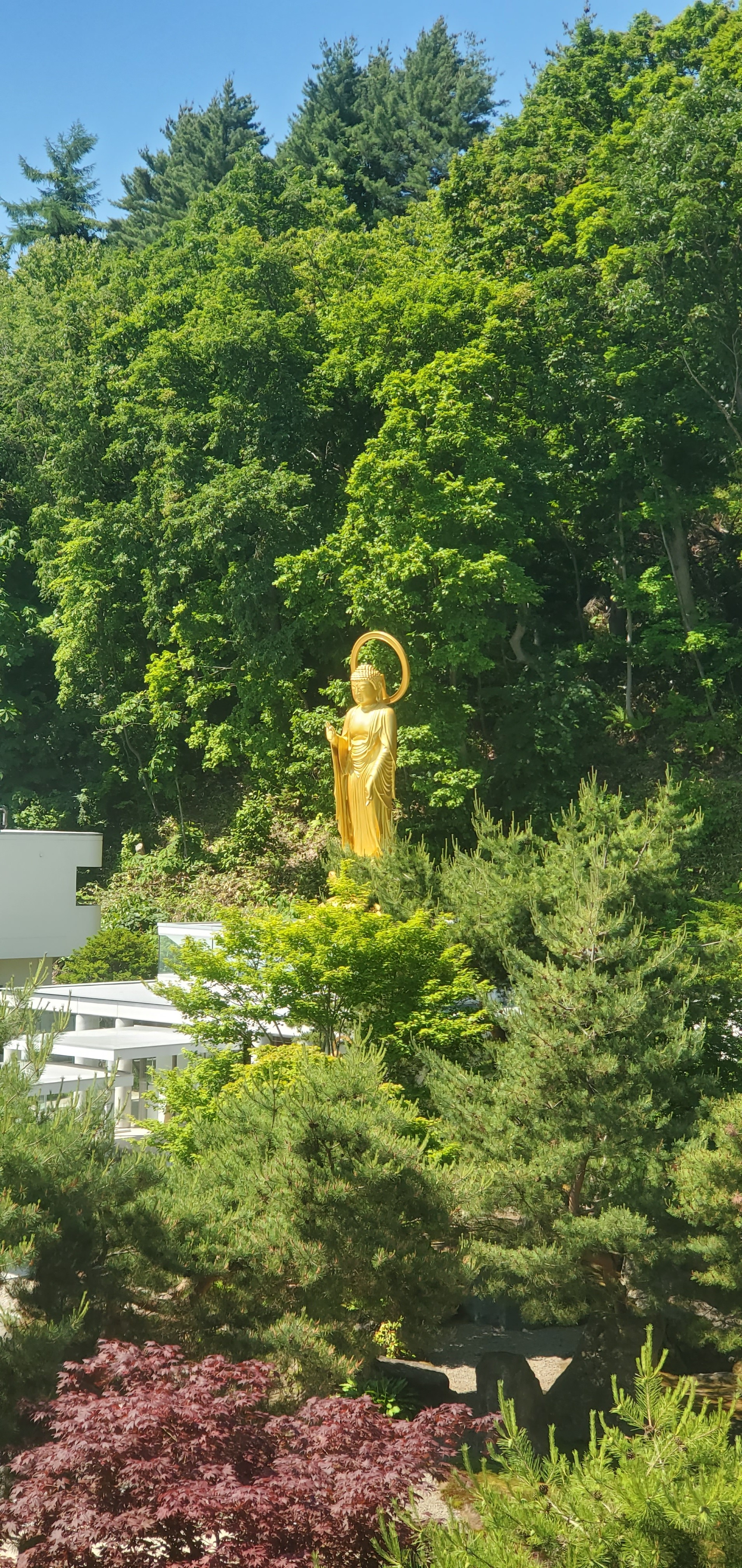 月替わり御朱印・通常御朱印(7月)お知らせ写真1