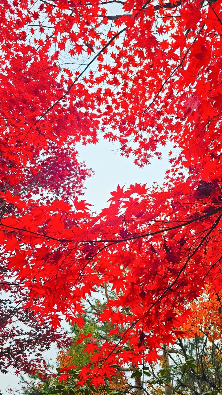 秋冬期の 開門時間写真