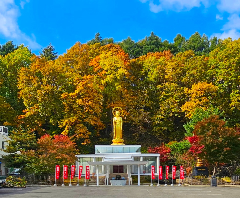通年御朱印写真