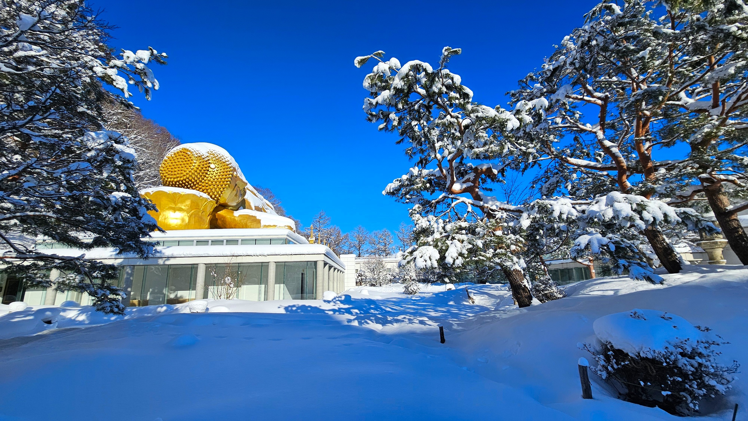 通年御朱印写真