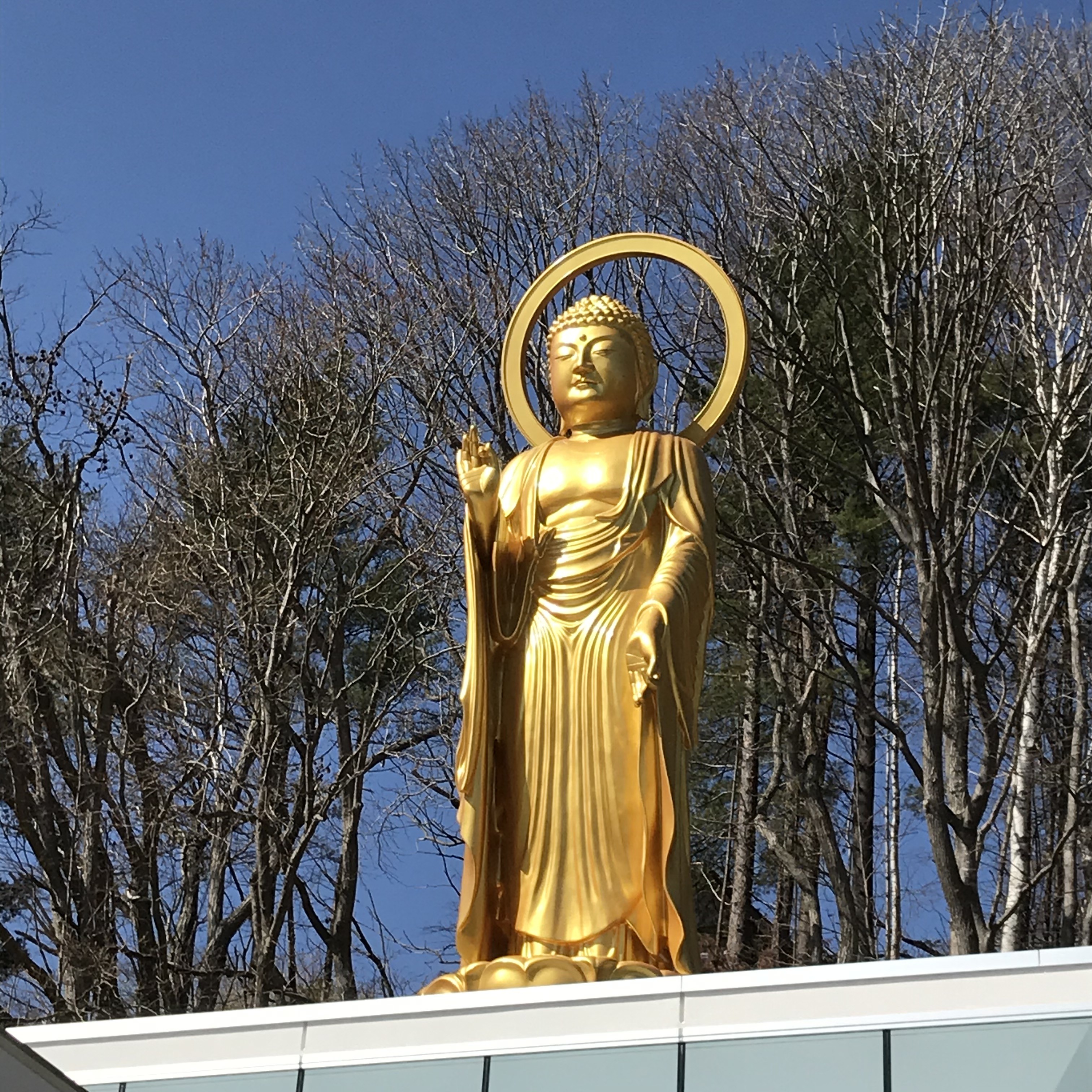 ☆極楽堂開堂記念ご朱印☆写真1